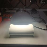 lampada iguzzini bugia