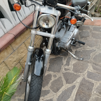 Vendita Harley davidson sportster 883 standard