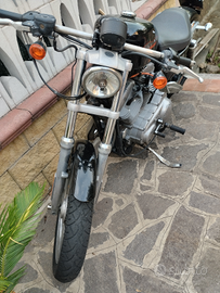 Vendita Harley davidson sportster 883 standard