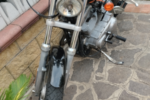 Vendita Harley davidson sportster 883 standard