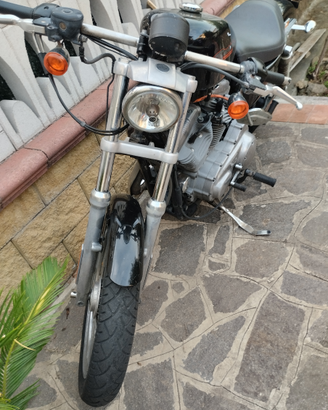 Vendita Harley davidson sportster 883 standard