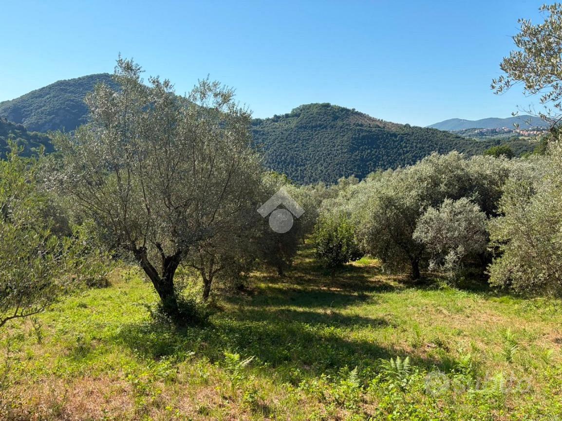 TER. AGRICOLO A SALISANO - Vista 4