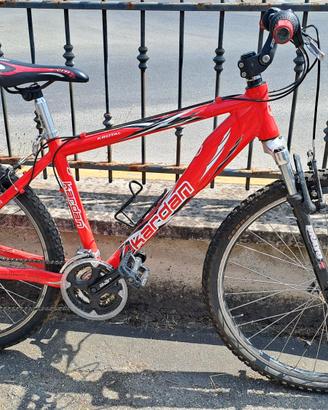 Bicicletta per ragazzi taglia 26