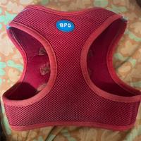 Pettorina per cani taglia media piccola