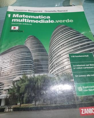 Matematica multimediale. verde 