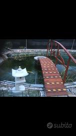 Pesci e piante acquatiche