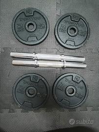 4 dischi in ghisa  da 2 kg + coppia manubri 