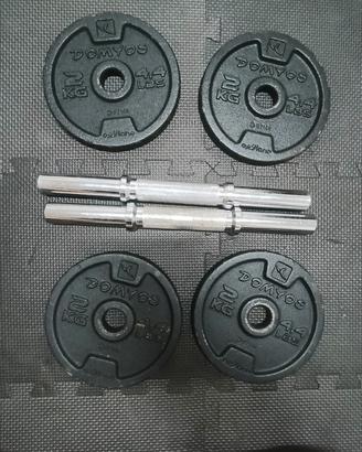 4 dischi in ghisa  da 2 kg + coppia manubri 