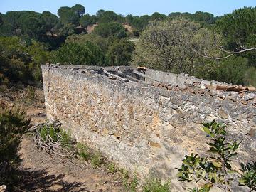 Terreno / Bosco tra Cefalù e Gratteri