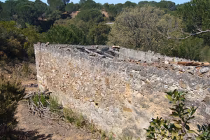 Terreno / Bosco tra Cefalù e Gratteri