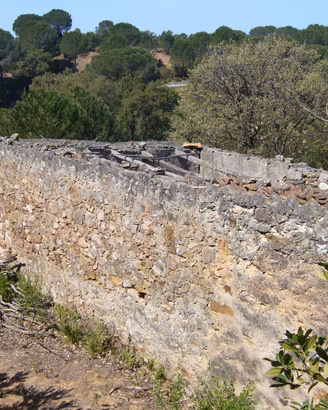 Terreno / Bosco tra Cefalù e Gratteri