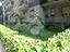 Immagine 19
