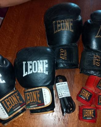 guantoni boxe
