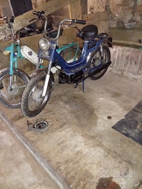 Califfone e Benelli bobo