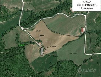 Azienda agricola con vista - montefeltro