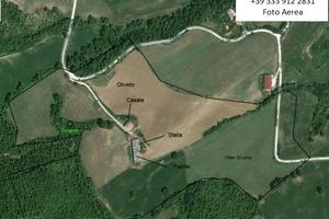 Azienda agricola con vista - montefeltro