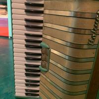 Fisarmonica Marchesa Hohner 120 bassi