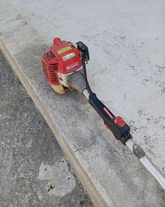Decespugliatore