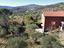 Immagine 15