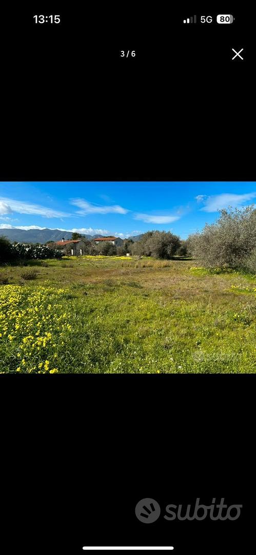 Terreno agricolo - Vista 4