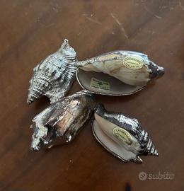 Set 4 conchiglie argentate