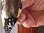 Immagine 6