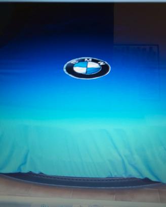 BMW telo con logo