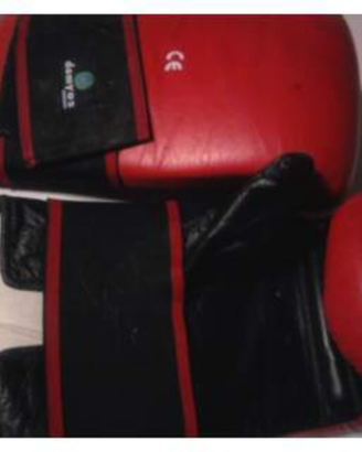 Guantoni da box