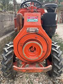 Motozappa Pasbo 14 CV - Robusta e Affidabile