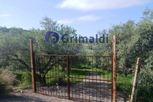 Terreno Agricolo Bagheria [TerM/3VCG]