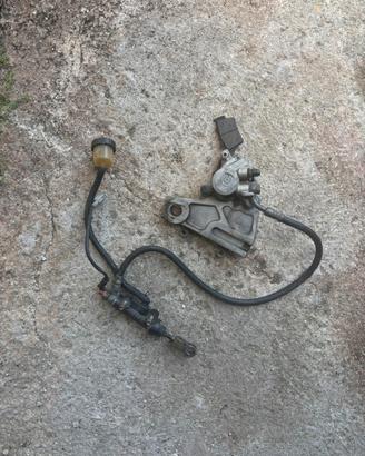 Pinza Frenante Brembo