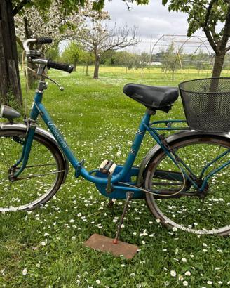 Bicicletta pieghevole