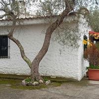 Villetta con terreno - sassari