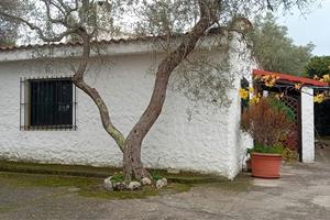 Villetta con terreno - sassari