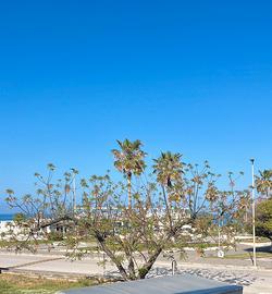 25 Aprile, Maggio e Giugno fronte mare