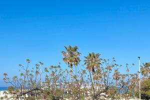 25 Aprile, Maggio e Giugno fronte mare
