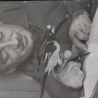 LIBRI MERIDIANI AMADO ROMANZI 2 VOLUMI COFANETTO