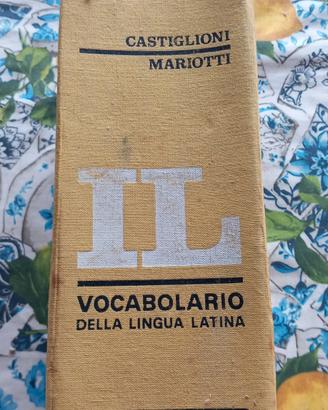 Dizionario latino italiano Loescher copertina stac