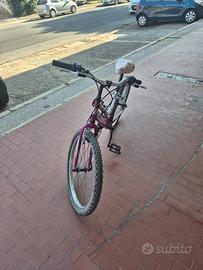Bici prime pedalate Bimba