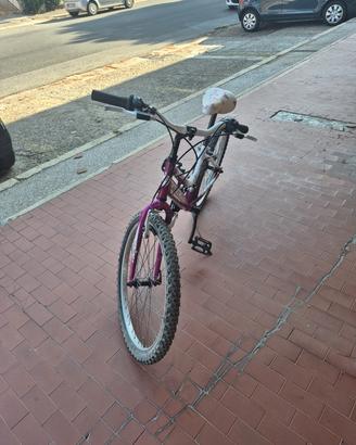 Bici prime pedalate Bimba