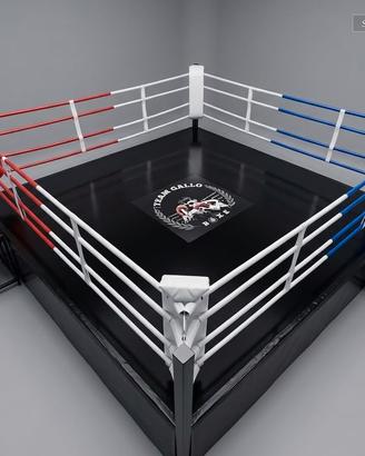 Ring da boxe pugilato e gabbie MMA