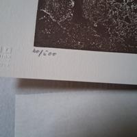 Dante, Divina commedia, Indrimi, Bolaffi editore