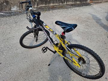 Bicicletta 24