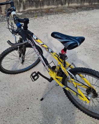 Bicicletta 24