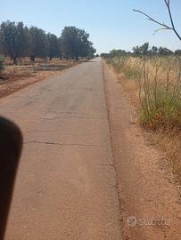 Terreno di 8000mq