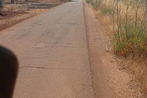 Terreno di 8000mq