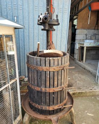 Torchio per uva 50 cm diametro