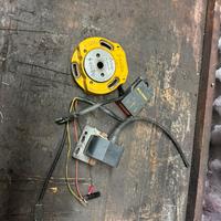 Selettra team1 malossi