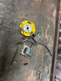 Selettra team1 malossi