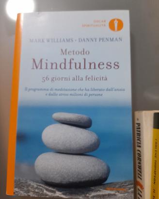 mindfulness metodo